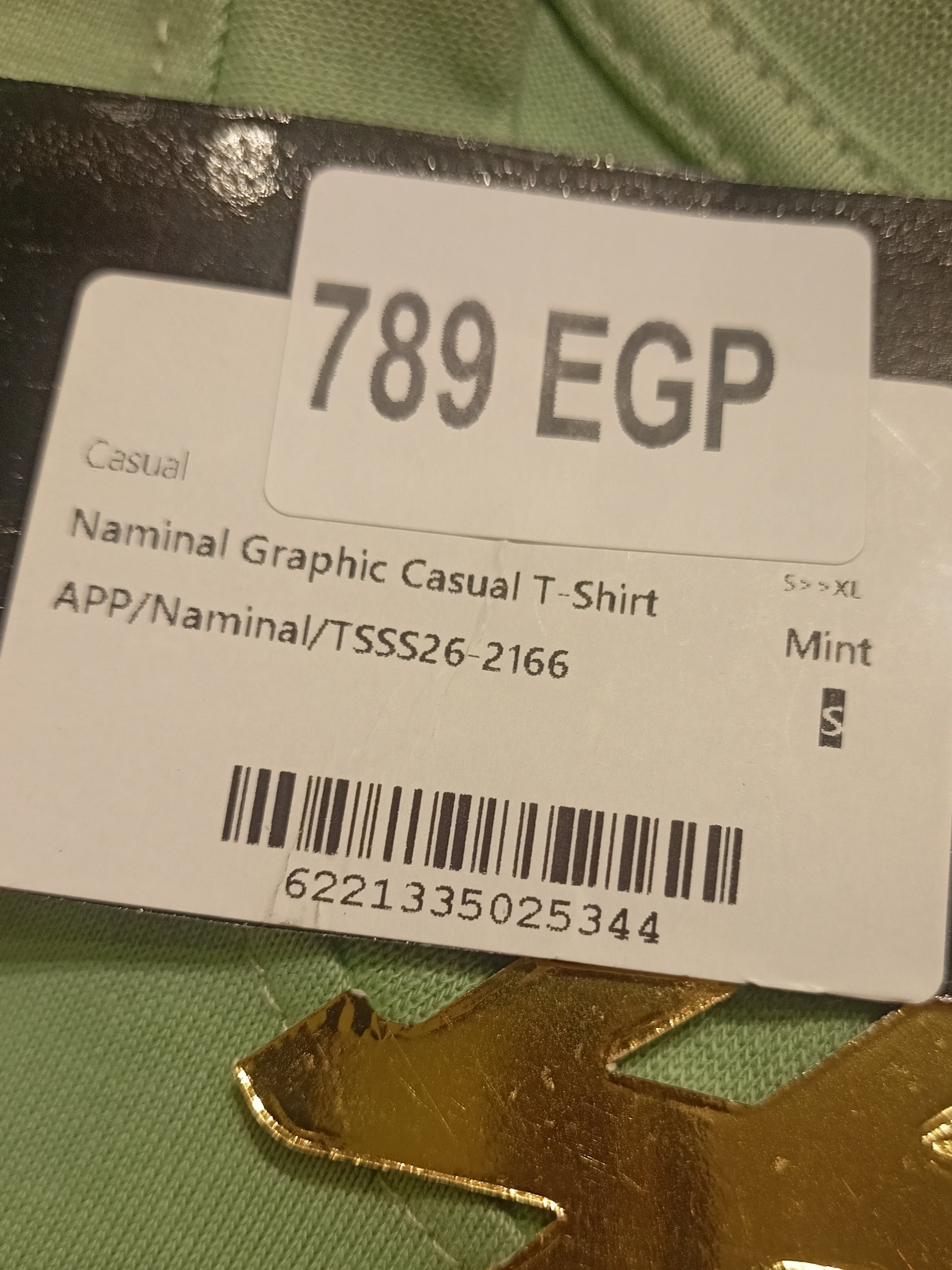 Naminal Graphic Casual T-Shirt (Oversize) - Mint