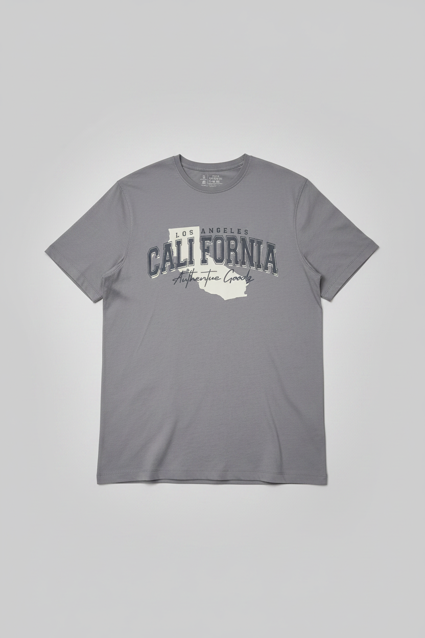 Naminal Graphic R.Neck T-Shirt (Regular) - Silver