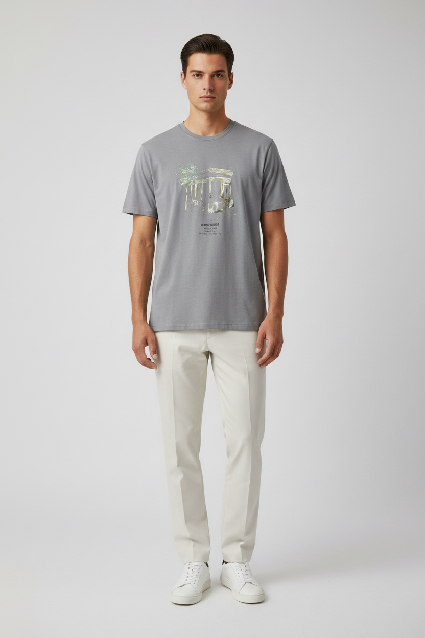 Naminal Graphic Casual T-Shirt (Regular) - Grey