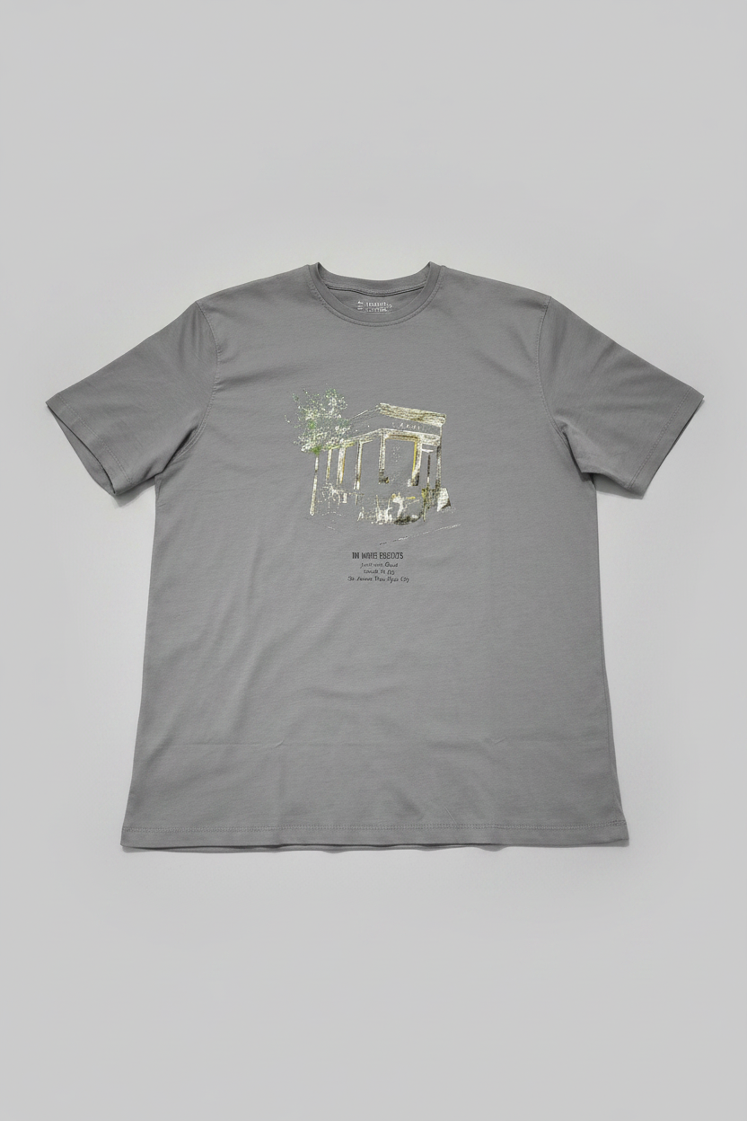 Naminal Graphic Casual T-Shirt (Regular) - Grey