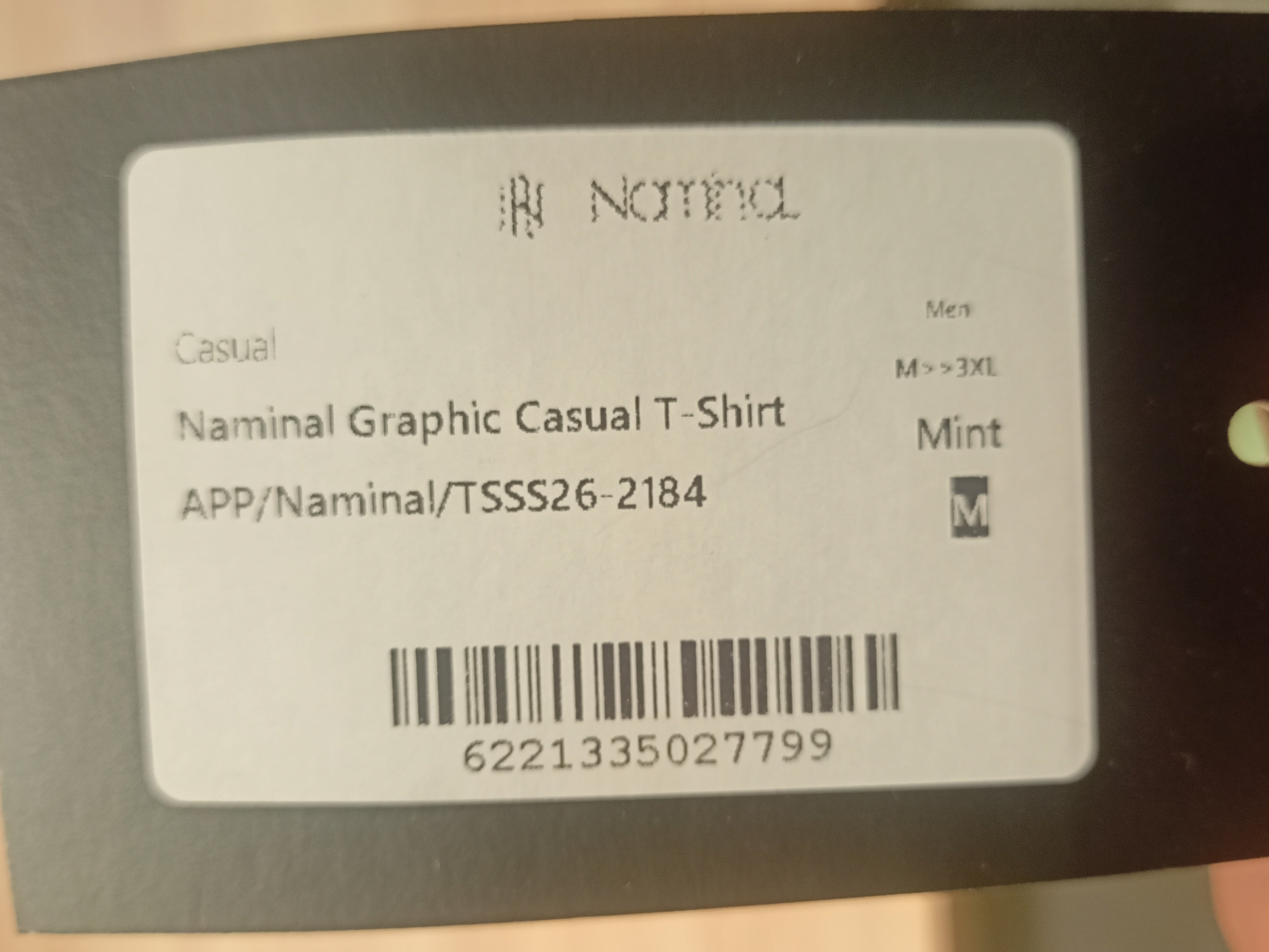 Naminal Graphic Casual T-Shirt (Regular) - Mint