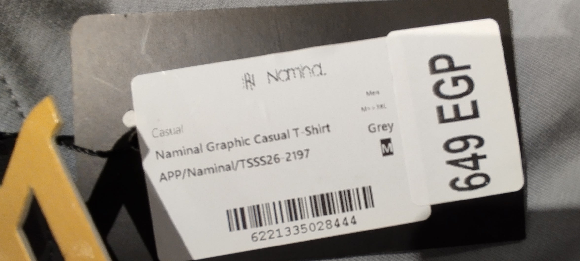 Naminal Graphic Casual T-Shirt (Regular) - Grey